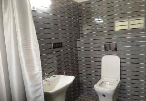 a bathroom with a white toilet and a sink at Aarna the Baane in SanivÄrsante