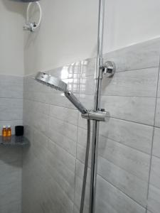 a shower with a shower head in a bathroom at Kibs Apartments in Dodoma +10 photos