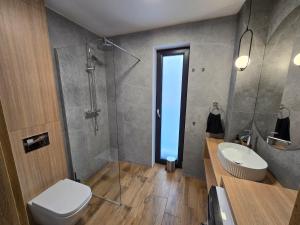 a bathroom with a shower and a toilet and a sink at FLAUTA apartamenty in Iława +13 photos