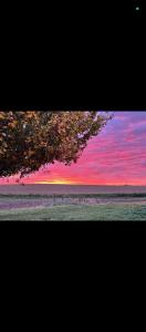 a sunset over the ocean with a tree in the foreground at La Colonie in Berry-Bouy