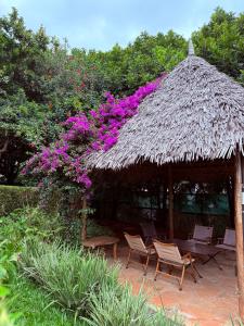 a straw hut with chairs and purple flowers at United House Nairobi Gigiri in Nairobi