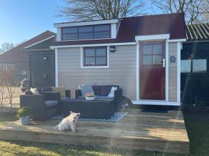 a dog sitting on a deck in front of a house at Op zoek naar een leuke overnachting Te huur Prachtig Tiny House De Hutte in Siddeburen +6 photos