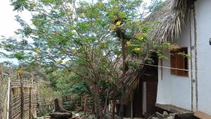 Ein Haus mit einem Baum neben einem Zaun in der Unterkunft Estudio Leon in San Agustinillo