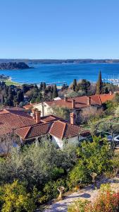 a group of houses with a view of the water at Apartments Ostanek 2 in Portorož