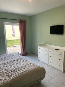 a bedroom with a bed and a dresser with a television at Ferienwohnungen Seeglück in Senftenberg