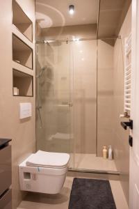 a bathroom with a shower and a white toilet at Apartaments Parking Taxi in Chişinău +20 photos