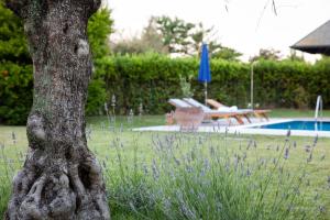 a tree with purple flowers next to a pool at Villa Helena, Venetien, Exklusive Villa auf Privatinsel Albarella, 4 Bedrooms 8 Personen, 300 m Strand in Isola Albarella +56 photos