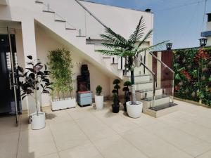 a courtyard with potted plants and stairs in a building at HOTEL JVS PALACE in Gorakhpur