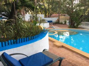 a swimming pool with blue chairs in front of it at Oceanic - Luxury Boutique Hotel in Palolem