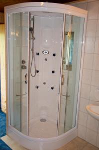 a shower with a glass door in a bathroom at Grasreithof in Grossarl
