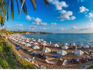 a beach with chairs and umbrellas and the ocean at villa 58 coral bay seafront in Peyia