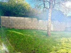 a brick wall and a tree in a yard at The Seafarers Rest in Cobh