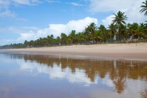 a beach with palm trees and the water at Grand Palladium Imbassaí Resort & Spa - All Inclusive in Imbassai