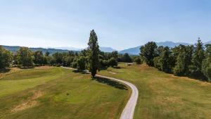 a tree in a field with a road at B&B Tenuta Castello Golf Club in Cerrione