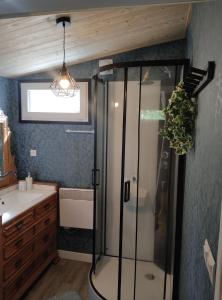 a bathroom with a shower and a sink at Mise au vert in Saint-Juvin