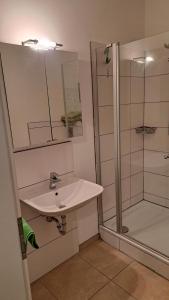a bathroom with a sink and a shower at Monte Baldo in Ilmmünster