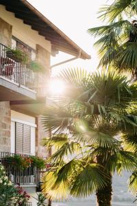 a palm tree in front of a building at Zeder Kraiterhof in Andrian