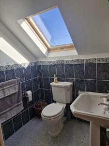 a bathroom with a toilet and a sink and a skylight at Teach na hAirde in Carna