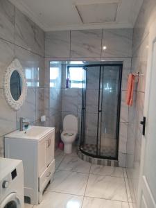 a bathroom with a shower and a toilet and a sink at Abebe Guest House in George