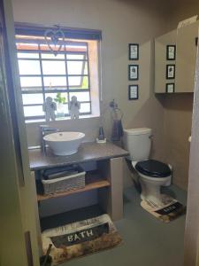 a bathroom with a sink and a toilet at Ouma Bettie Guesthouse in Piketberg