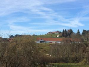 Galeriebild der Unterkunft Haus Johanna in Lechbruck