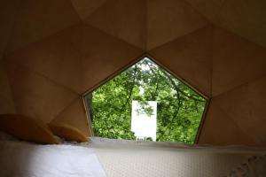 a window in a room with a bed and trees at T'glamp Bee house in Rovte
