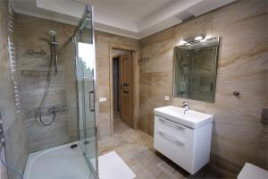 a bathroom with a shower and a sink and a mirror at ITM Haus in Rozvadov +41 photos