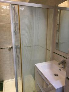 a bathroom with a shower and a sink at L'Ecrin Léopold - Centre ville in Montélimar +24 photos
