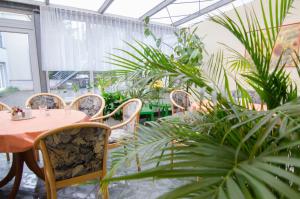 eine Terrasse mit einem Tisch, Stühlen und Pflanzen in der Unterkunft Pension Regina - Inh. Monique Kluge in Gotha