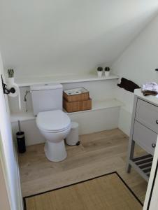 a bathroom with a white toilet and a counter at Le petit Moulin de Drée in Drée +20 photos
