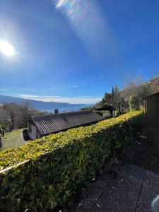 a hedge covered in yellow flowers in front of a building at Sunclass Tignale Bungalow Gardasee in Tignale
