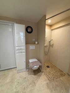 a bathroom with a toilet and a clock on the wall at Les Capucins de Provins Studio in Provins
