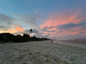 a person standing on a beach with a palm tree at Bulan Guesthouse in San Isidro +31 photos