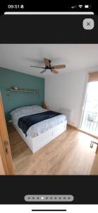 a bedroom with a bed with a ceiling fan at Blue lagon-350m plage-clim-parking in Saint-Cyprien-Plage