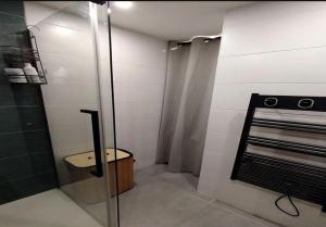 a shower with a glass door in a bathroom at Blue lagon-350m plage-clim-parking in Saint-Cyprien-Plage +2 photos