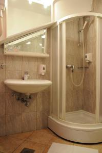 a bathroom with a sink and a shower at Hotel Terex in Sarajevo