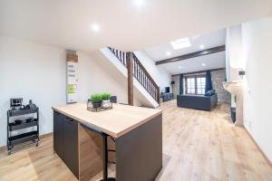 a kitchen with a island in the middle of a living room at Myappart71- Loft - centre ville in Mâcon +8 photos