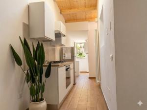 a kitchen with white cabinets and a potted plant at Central Suite - Premium Villas in Giulianova +4 photos
