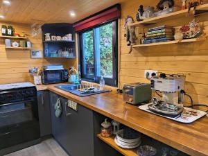 a kitchen with wooden walls and a counter top at Tiny somniflore in Wasigny