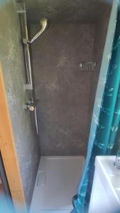 a small bathroom with a shower with a sink and a shower at Tiny somniflore in Wasigny +12 photos