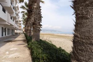 a row of palm trees next to a beach at The Sea Under the House in Marina di Strongoli