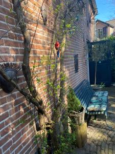a brick wall with a bench and a tree at In het koetshuis in Apeldoorn