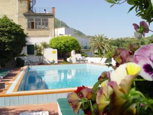 a swimming pool with some flowers in front of it at Hotel Monti in Casamicciola Terme +35 photos