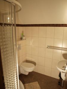een badkamer met een toilet en een wastafel bij Apartmány Vlasta in Paseky nad Jizerou