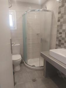 a bathroom with a shower and a toilet and a sink at Karafelas rooms in Skiathos