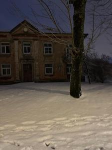 a house with a tree in the snow at SUNNY holidays in Liepāja