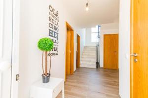 a hallway with a potted plant on a white table at Roots Villa - Casa das Árvores in Cabanas de Tavira +47 photos