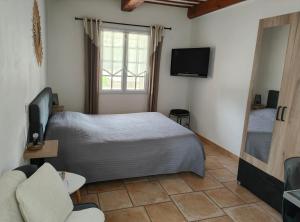 a bedroom with a bed and a tv and a couch at La Plénitude in Le Thor