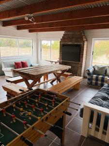 a living room with a pool table and a fireplace at Linga Longa in Britannia Bay