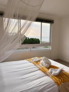 a bedroom with a bed with a large window at Linga Longa in Britannia Bay